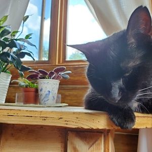 Meet your Posher, Alex